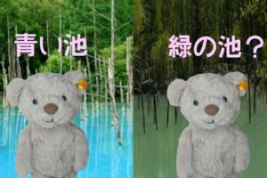 travel-hokkaido-biei-blue-pond