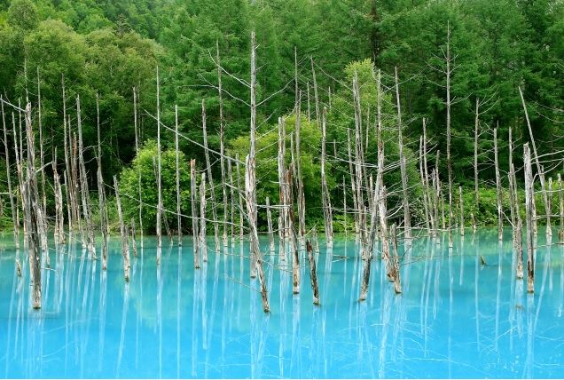 biei-blue-pond-summer-version