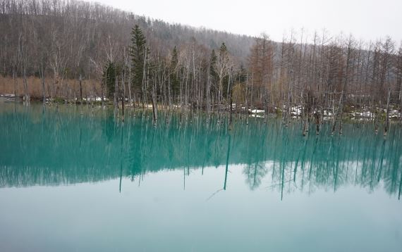 biei-blue-pond-spring-version