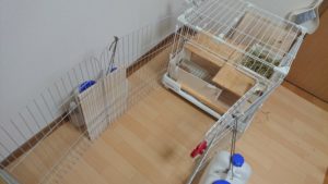 rabbit-cage